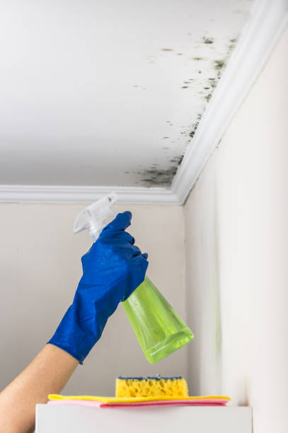 Crawl Space Mold Removal in Schuyler, NE